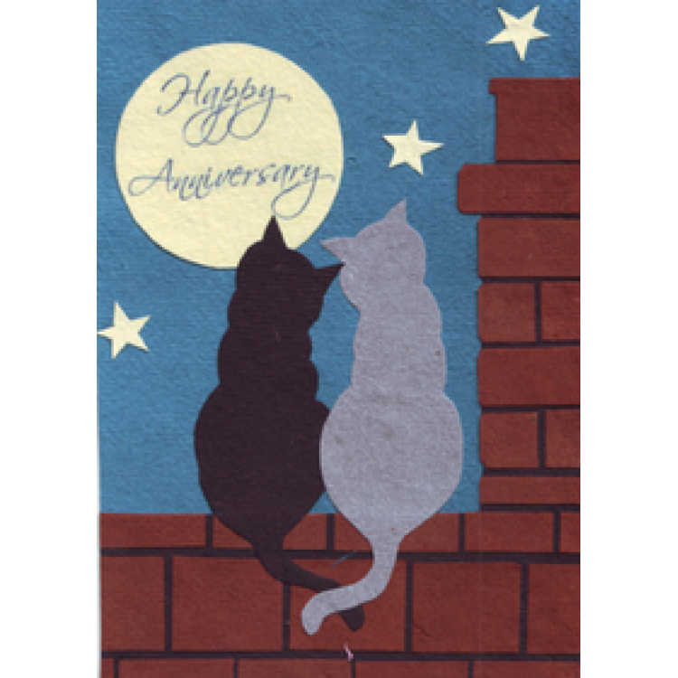 CFA Anniversary Cats