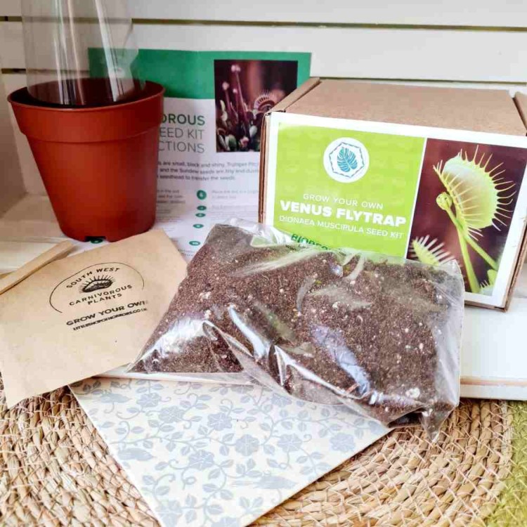 Grow Your Own Carnivorous Plants