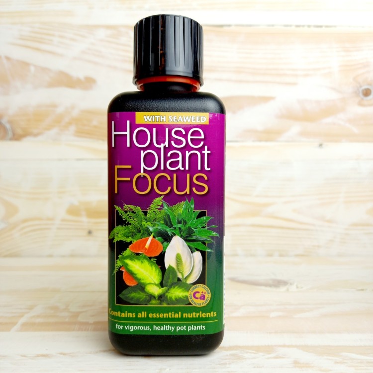 Growth Tech House Plant Focus plant food 300ml