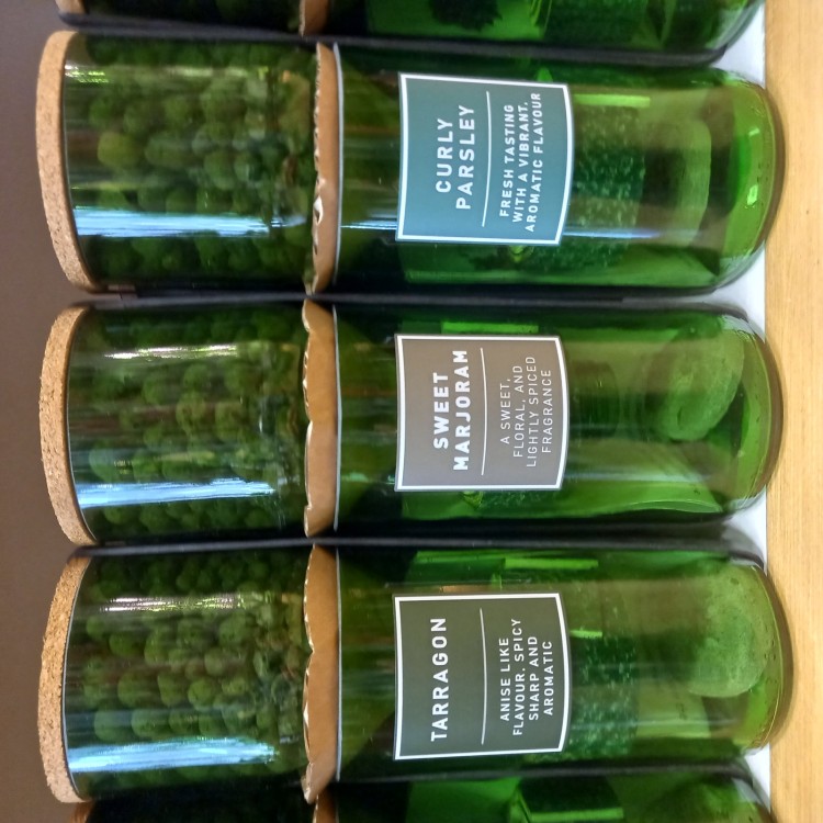 Hydro Herb Kits