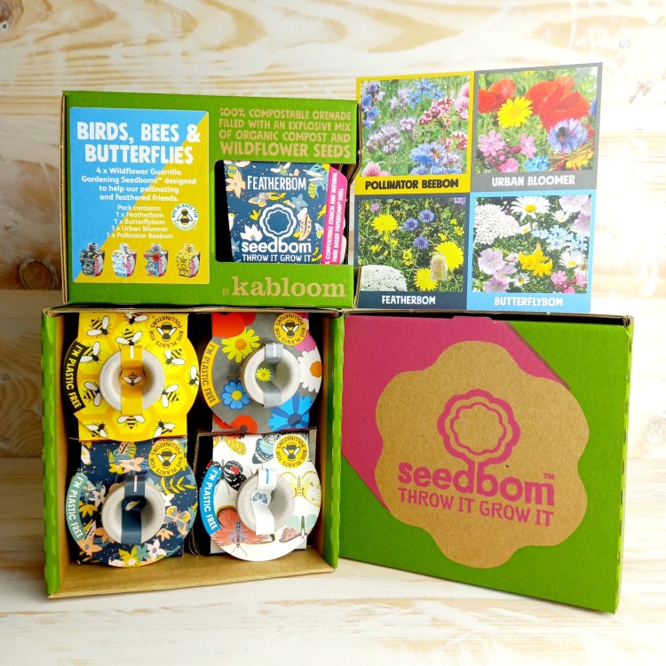 Kabloom. birds, bees, butterflies