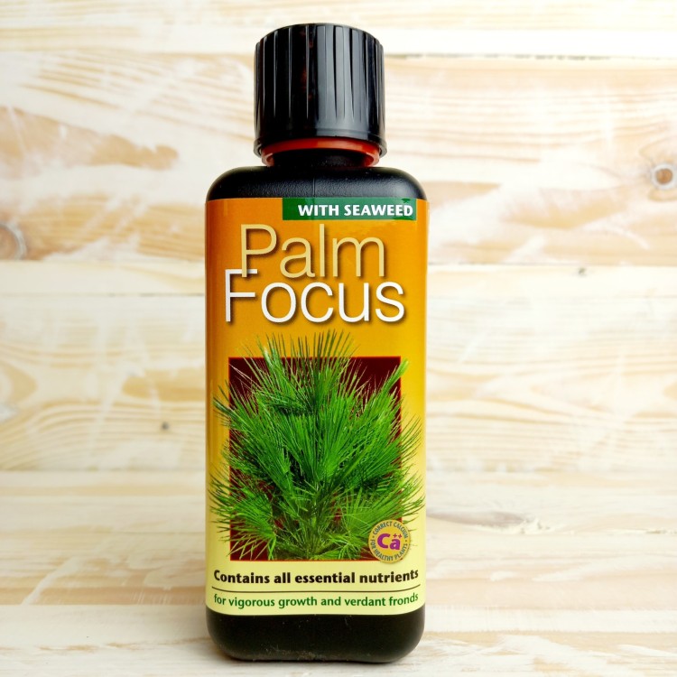 Growth Tech Palm Focus Plant Feed 300ml