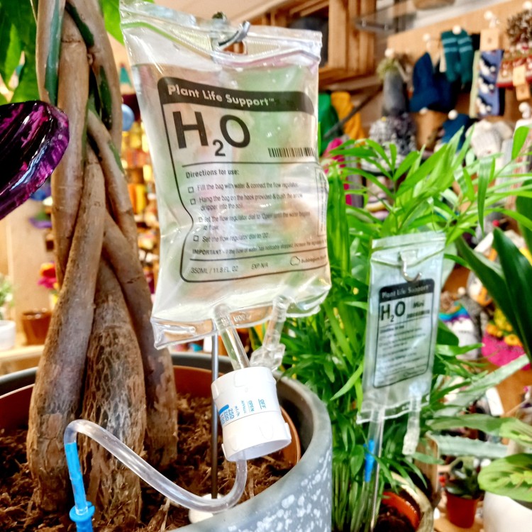Plant Life Support