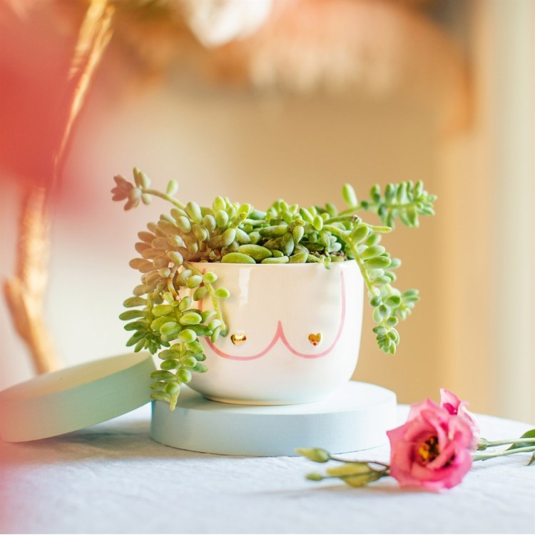 Sass & Belle Boobies Large Planter