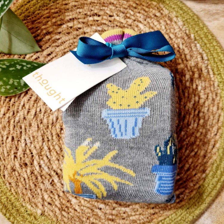 Thought Dracaena Houseplant Bamboo Socks in a Bag